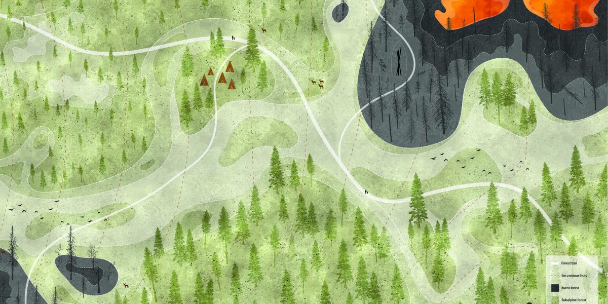 Проект с неочакван поглед върху горските пожари и устойчивостта на ландшафта